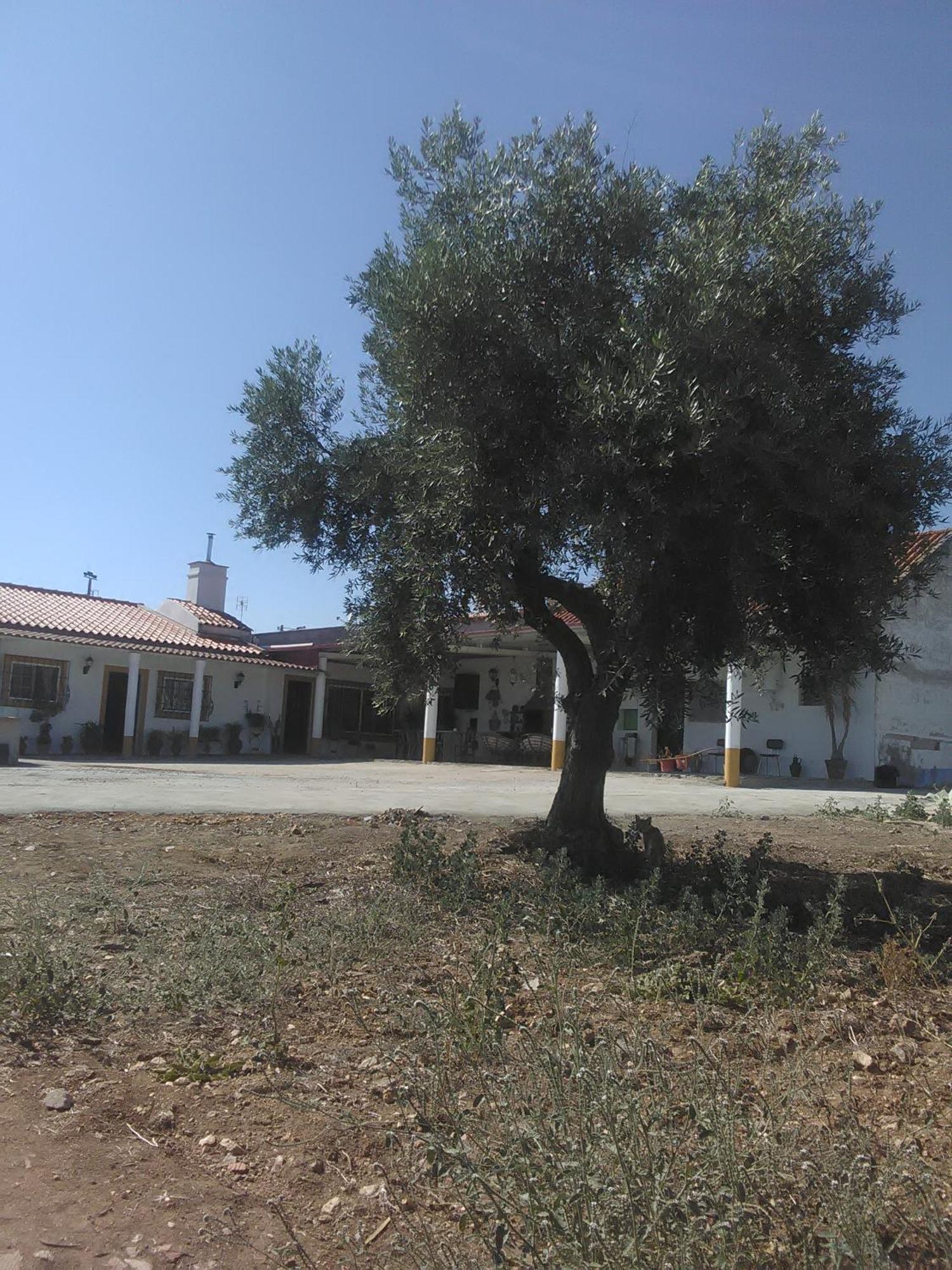 Vila Quintinha Dos Pombinhos Montoito Exteriér fotografie