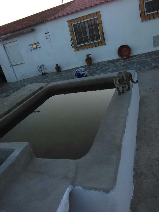 Vila Quintinha Dos Pombinhos Montoito Exteriér fotografie